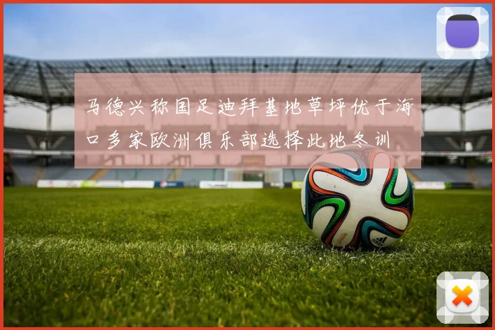 马德兴称国足迪拜基地草坪优于海口多家欧洲俱乐部选择此地冬训