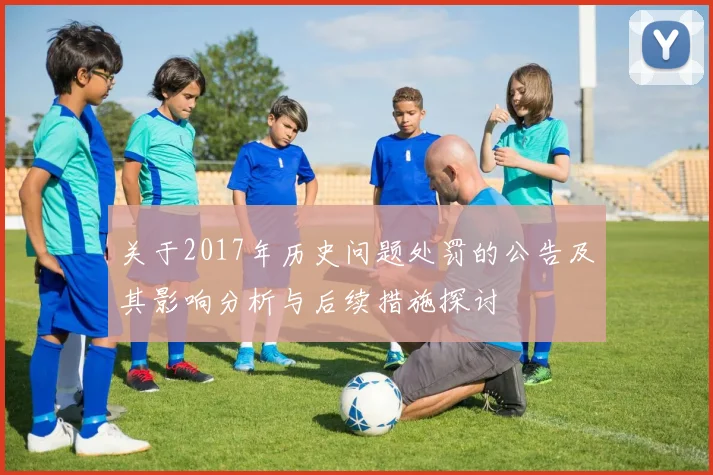 关于2017年历史问题处罚的公告及其影响分析与后续措施探讨