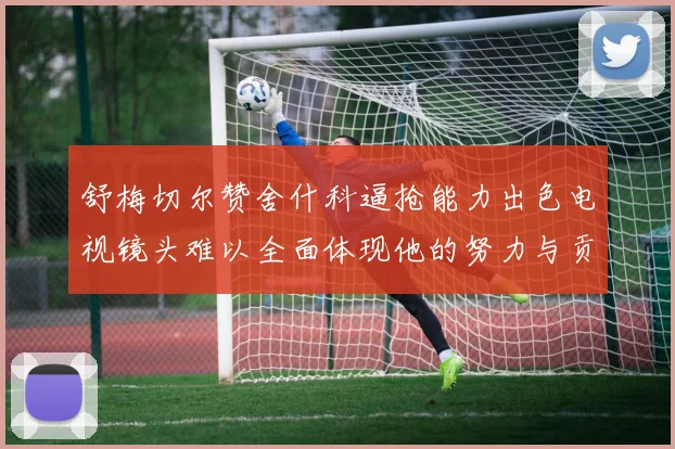 舒梅切尔赞舍什科逼抢能力出色电视镜头难以全面体现他的努力与贡献